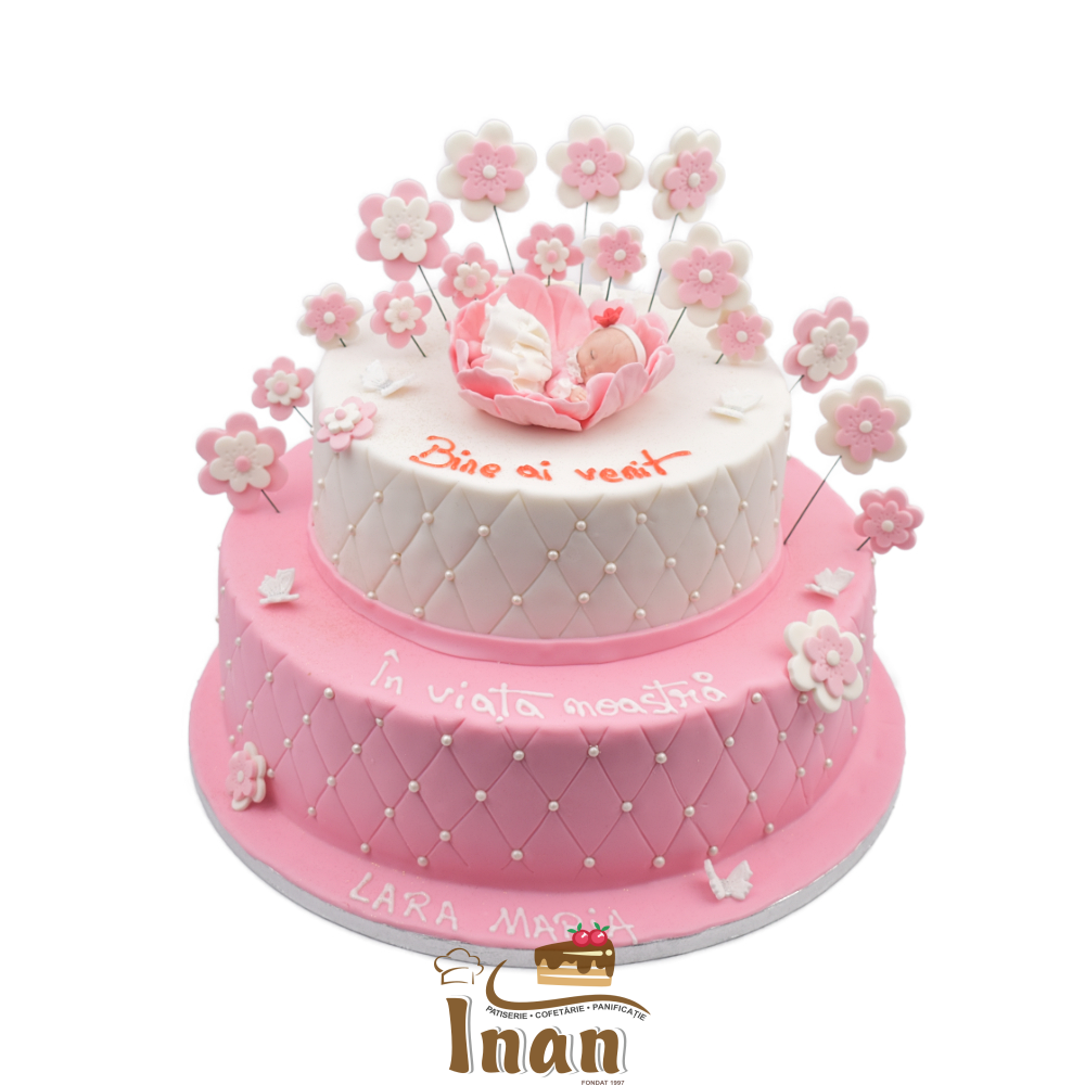 TORT DEGEŢICA -I0157