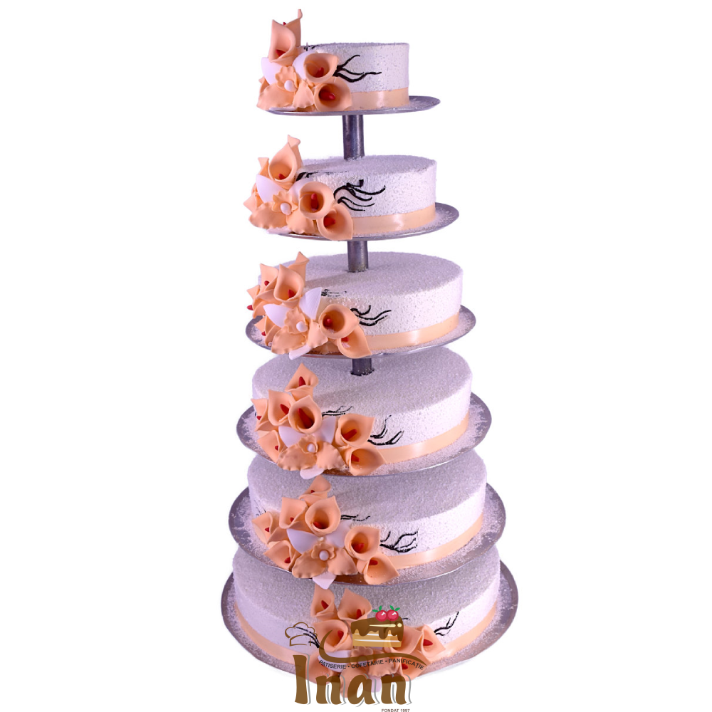 TORT DIPLOMAT CU CALE -I0184