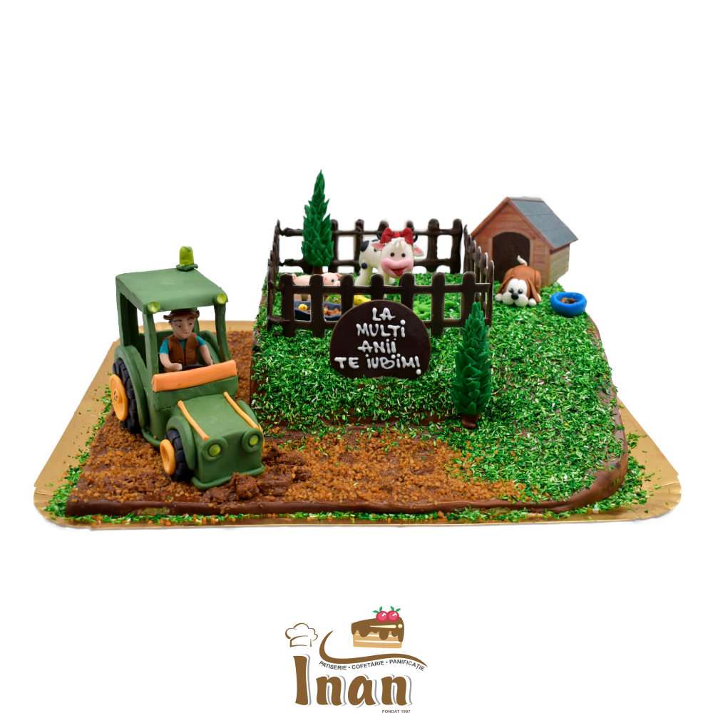 TORTUL FERMIERULUI -I0288GANAJ