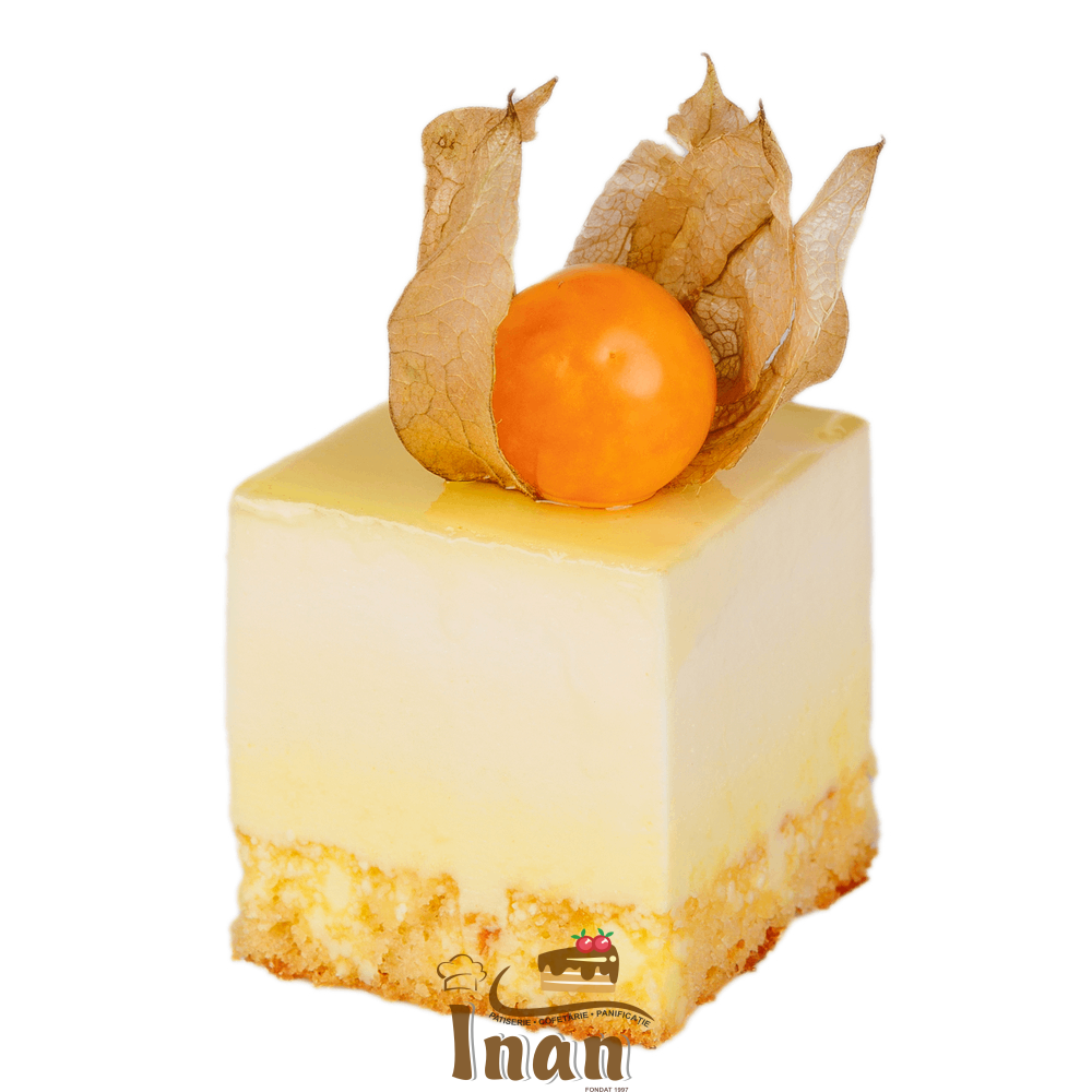 MONOPORTII PATRATE 007