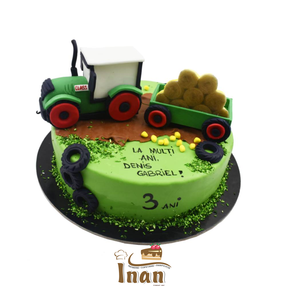 TORTUL FERMIERULUI -I0288GINA