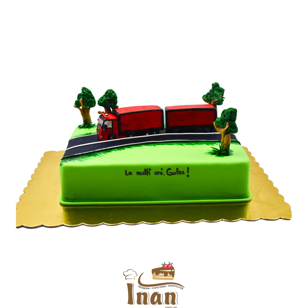 TORT CAMIONAGIU -I0256