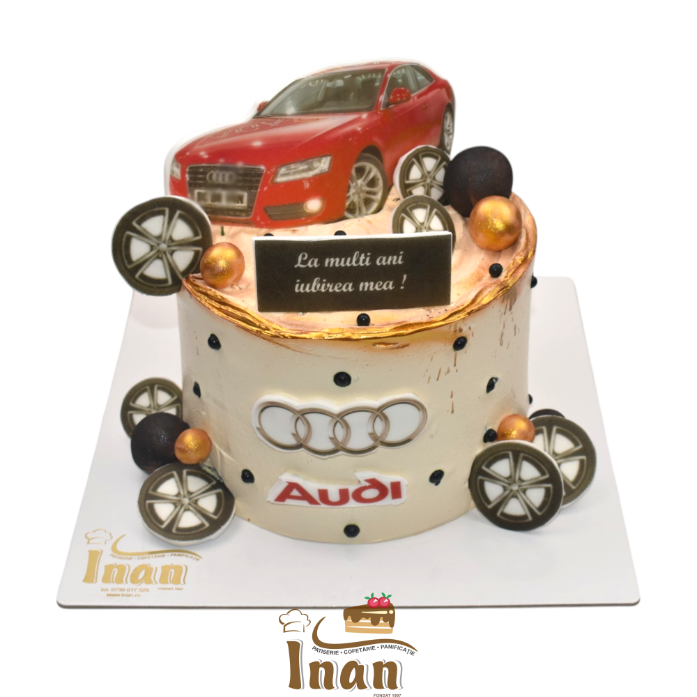 TORT MASINA AUDI DSC_7073 (1)