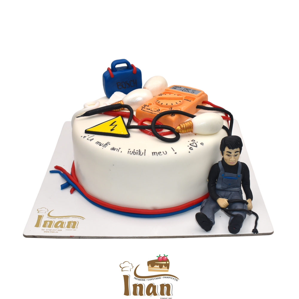 tort electriceanu in martipanDSC_6963